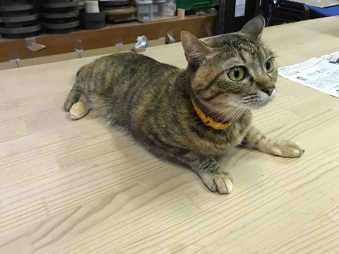 BCB09914-A511-4C35-ADAD-73F3F227249E