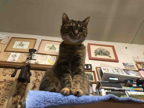 9E7C80F1-3E6E-4B41-A7BD-74AFBEE326A6