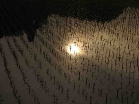 1FB3D8CC-6740-4F97-8B74-25204529E0DC