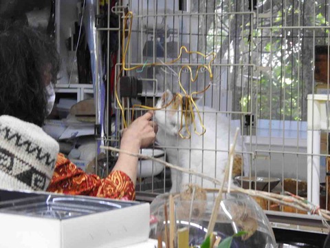 F39A5E15-1989-40F7-830F-9E88E9EDAF02