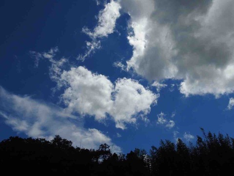 CFCCC214-6C9F-4985-B9C7-E68FEDC7B3D7