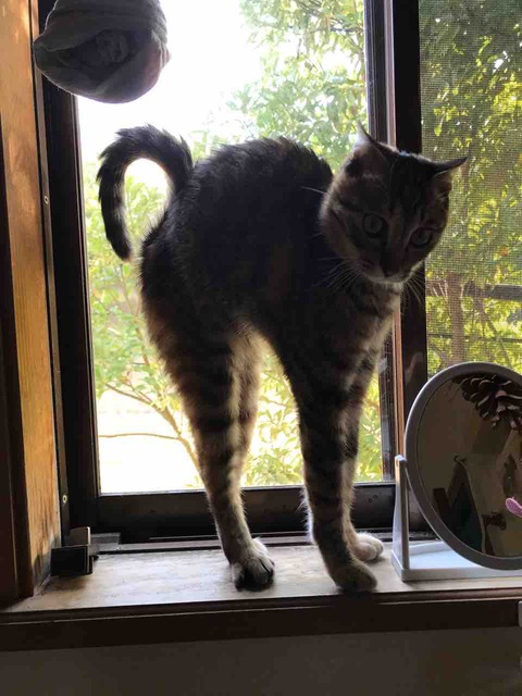 F3BB665B-DDF0-4561-909A-48B08EAA1B80