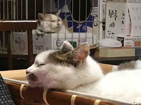 311EA450-6CDF-4873-BAE3-5BD719BCDBC4