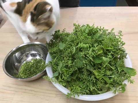 96AE8621-B0CC-4969-B06A-517B3E00A742