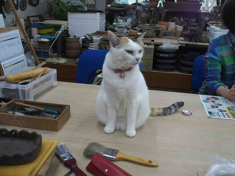 48EA8FAA-079A-4AEF-89D1-B0CE19F4561D