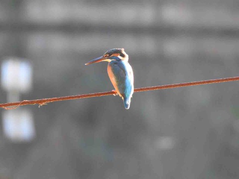 B7F2DDD1-9CE9-45ED-9A54-22EF25EECCE4