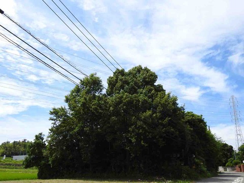 41936D76-952B-4633-8992-0115830E80E4