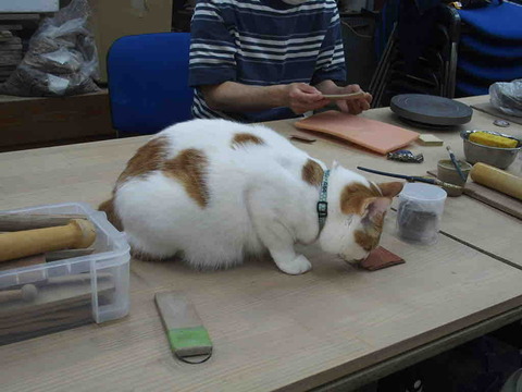 63270536-701C-46F3-9469-CF971F6354BB