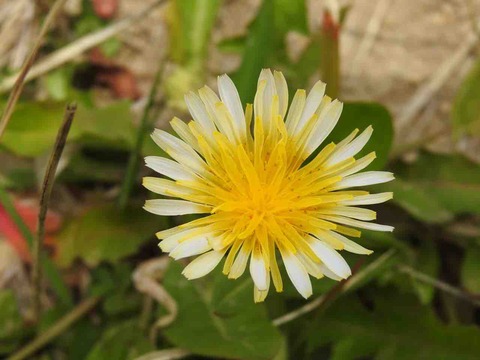 26FB7017-E548-4B9A-A785-A8A14329EF6A