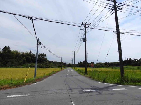 20C5ACDE-EFBB-4778-AEBA-137904816429