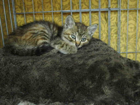 D66B5F7D-99EE-4804-AF58-85FBF248A4E0