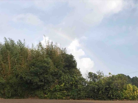 47BD5D57-5820-40A2-B947-0E30CF9BE43A