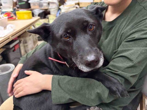 A8E39045-21B2-4C0E-9826-423319578885