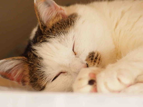 B9009A54-4A61-4759-9629-F16D7FABDE1D