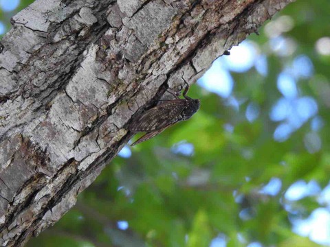 ED3118E4-F9AE-4943-B33A-EE4812881D4A