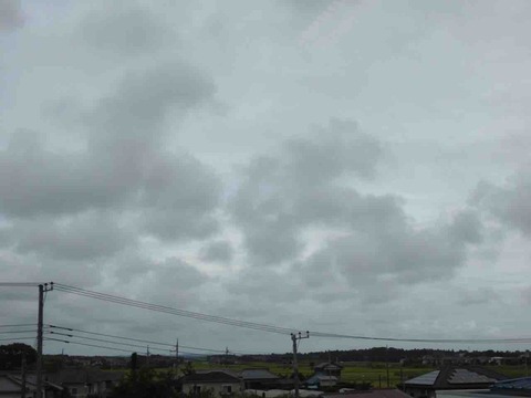 41BA3A23-C612-4676-A2F8-E5BA3B1A9A97