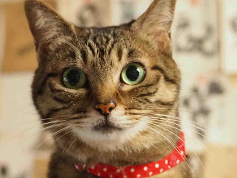 C1DDD2E2-675E-43DE-B2A3-A03A95B09C2B