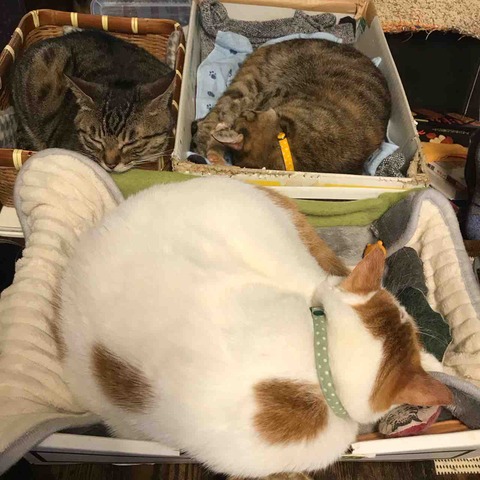 3E4709BE-E769-4B69-AF7E-EBDE17FCEB14