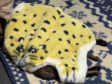 AF16D081-E0E7-4487-839C-28841D1E5055