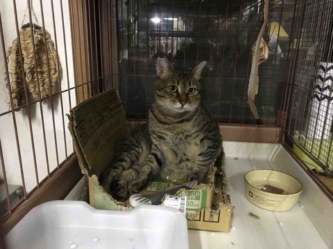 9C5BD8E9-0C08-41B0-9532-0F05A86B4614