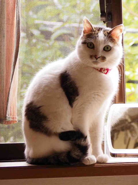 1039CA7A-942B-4102-8AF4-F8704032BA66