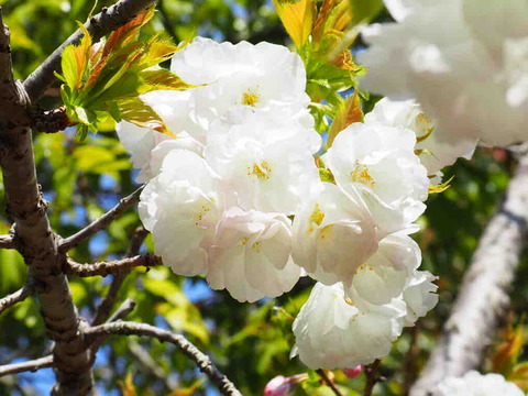 06EDC244-D22D-4E13-A52E-DF087D2FAAAA