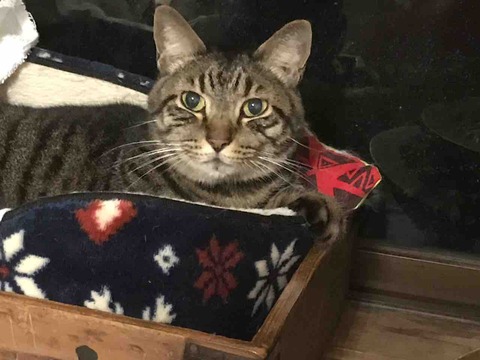 055436EB-52B7-4E7F-AC7D-76DC7A42BE36