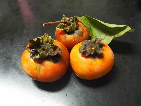 162AB092-385E-40F2-8F83-F9AC03F08455