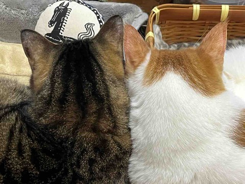 39656D39-61F3-4A1E-B389-0D29D21D92B1