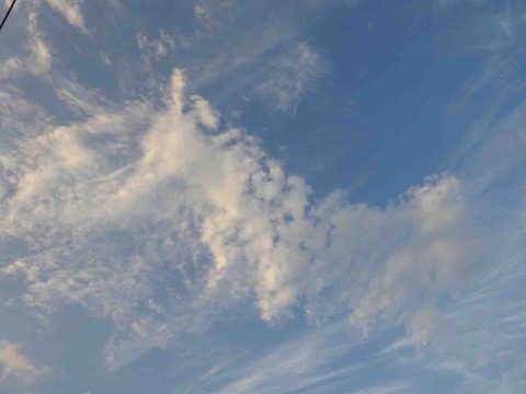 0F1EE3BA-9342-475A-B28E-DBDA8AD3366B