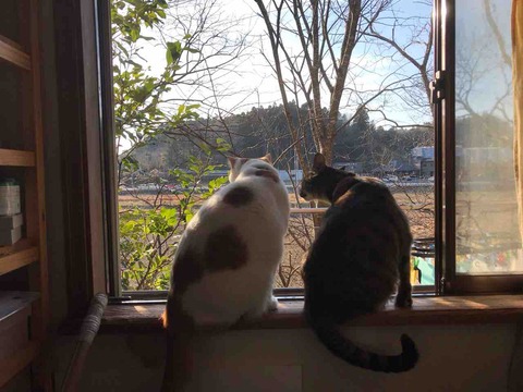 0EED5937-CA30-461A-B470-1CF00500A72E