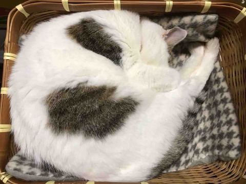 931E6D00-E80E-41BF-859B-1CEB1D4457C5