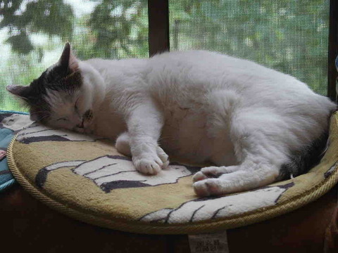 EF9F31ED-E345-4B8F-9E09-B17509135191