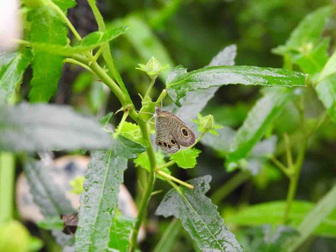 B062F903-7901-4EE8-88C1-FE0985903E15