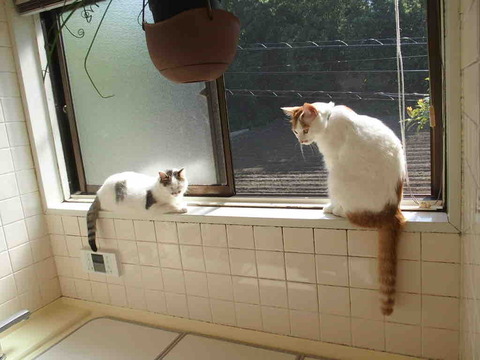 25C0F844-DC62-44C8-B89D-99D9029BF8B3