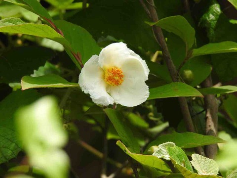 AC1021AC-A374-41E8-8FB4-BFD8D46D1C56