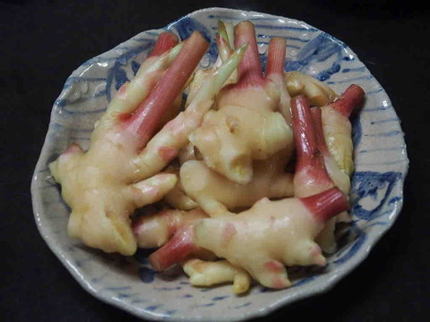 4B304AA3-FDE7-4D1B-88DE-BCB31CCD8C76