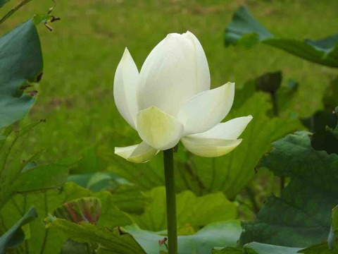 0A28D708-B8B4-4252-891D-103231B7CD99