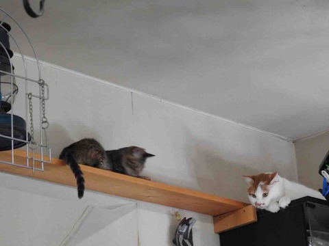 9FE51C53-E8E8-4C8A-80DE-BD6C2AC8B391