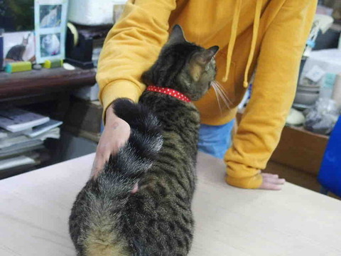 FFDF8A0C-E42B-404E-A33D-559E6089EB0A