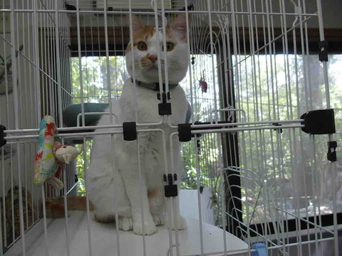 C40062E6-FD6E-4064-925A-DBE3C6C24787