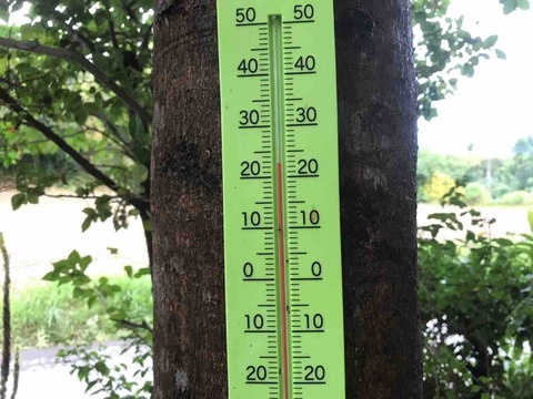 AD8348BB-FB1E-4105-B023-3BA22B50D3F9