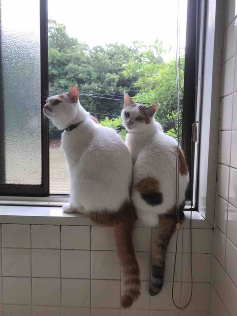 65A63DB0-DA59-483C-BA84-B0936CB3A15B