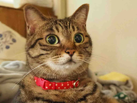 DADB3F3E-EF4B-4865-894B-A506184FC226