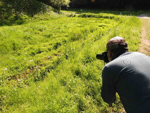 27B37835-83FF-48F4-81CC-A83E8A540144