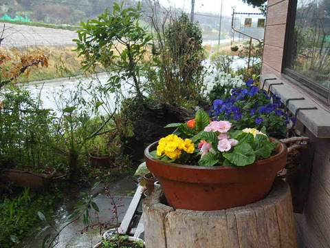 E92CE341-6214-4679-9D5E-899F59062DF1