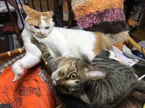 08F90BFB-A5B5-47CC-8ECB-ECCFAD73C82A