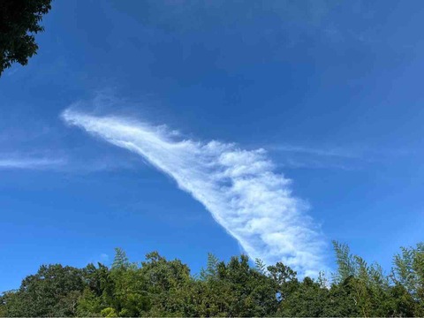 A1DCCB92-C1D1-4501-A428-7B4C25455EA9