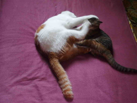 629AF621-B3DF-40EF-A925-71FA65823B92