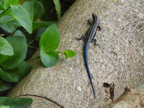 3D970A36-D51B-46D3-831D-D2B99413DB71